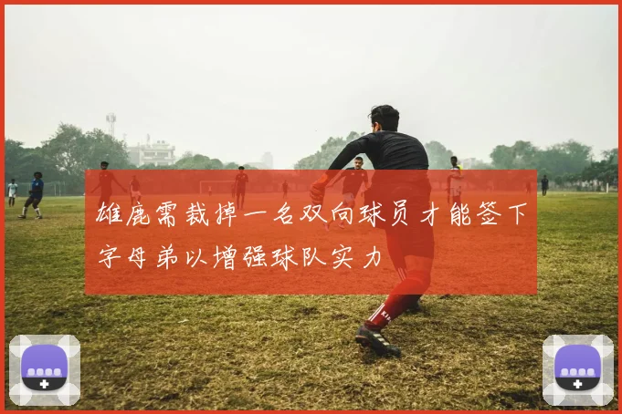 雄鹿需裁掉一名双向球员才能签下字母弟以增强球队实力