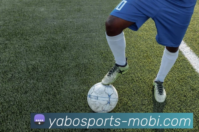 亚博体育服务体系