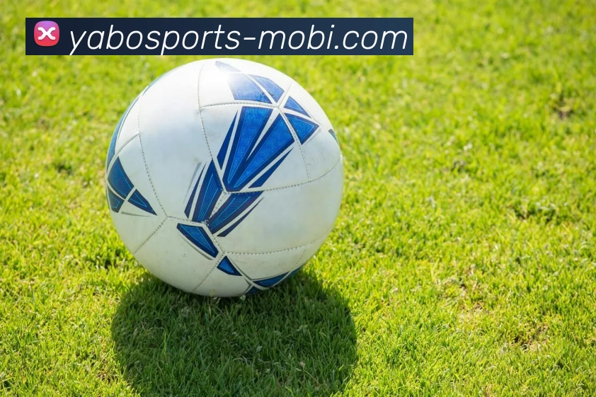 亚博体育APP 体育赛事宣传图